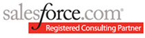 salesforce consulting partner